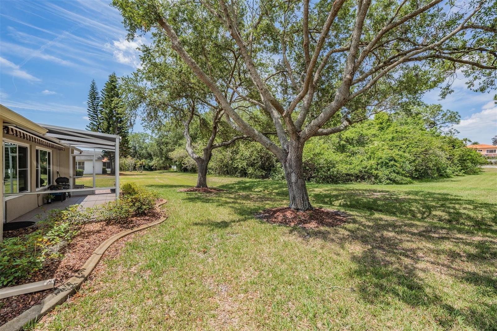 1237 Almondwood Dr Property Photo 23