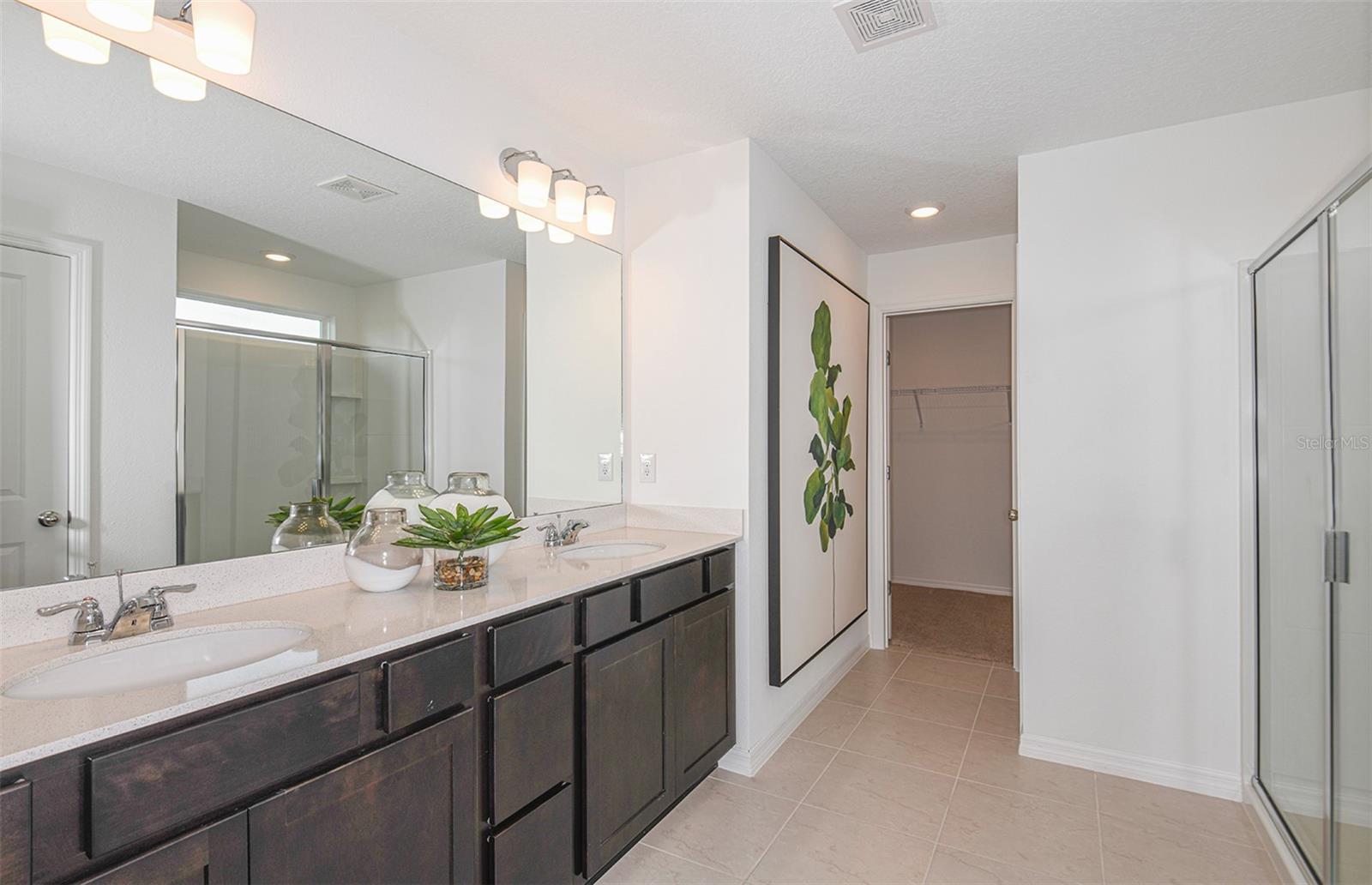 9911 Trellis Vine Way Property Photo 10