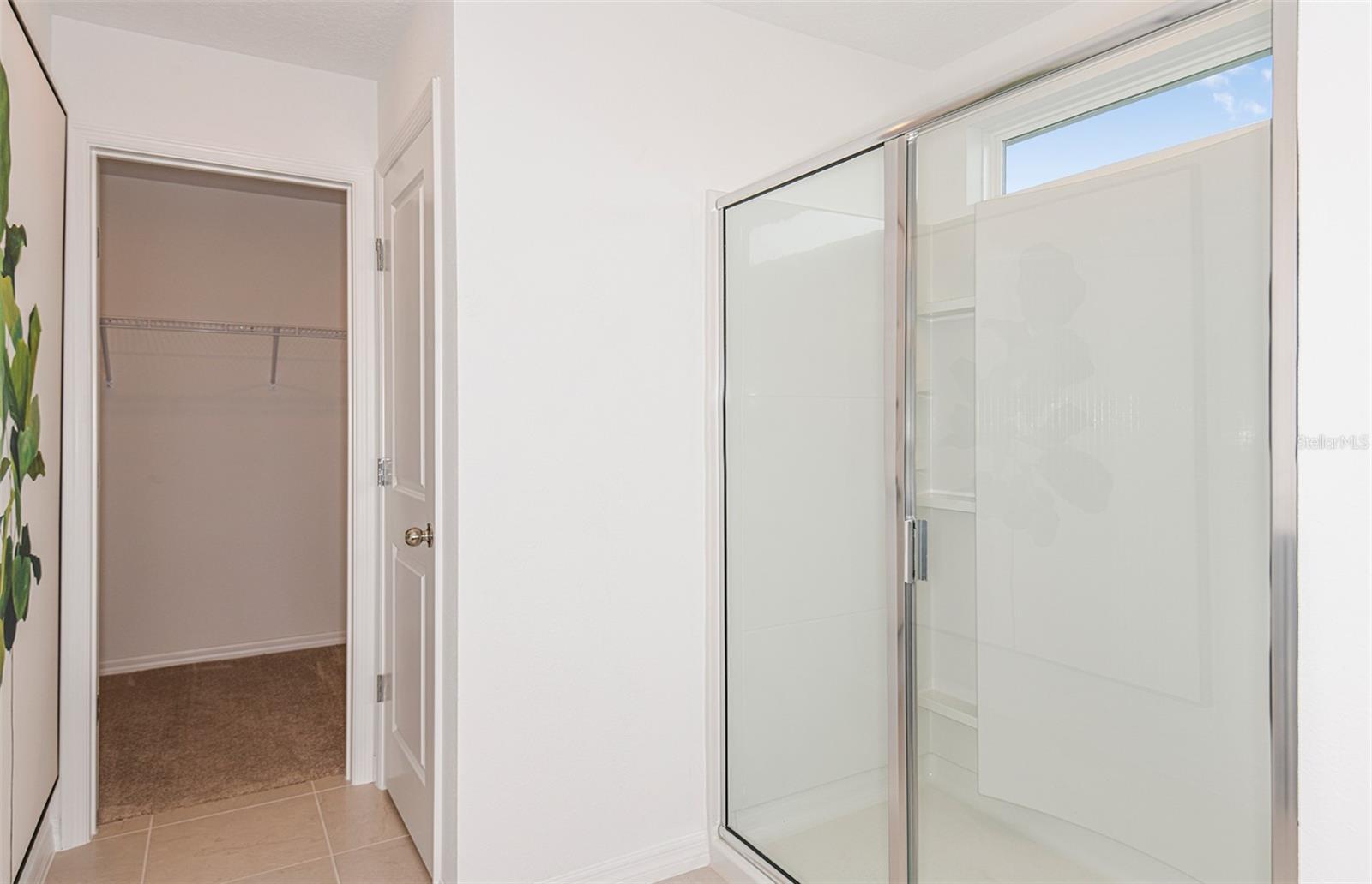 9911 Trellis Vine Way Property Photo 11
