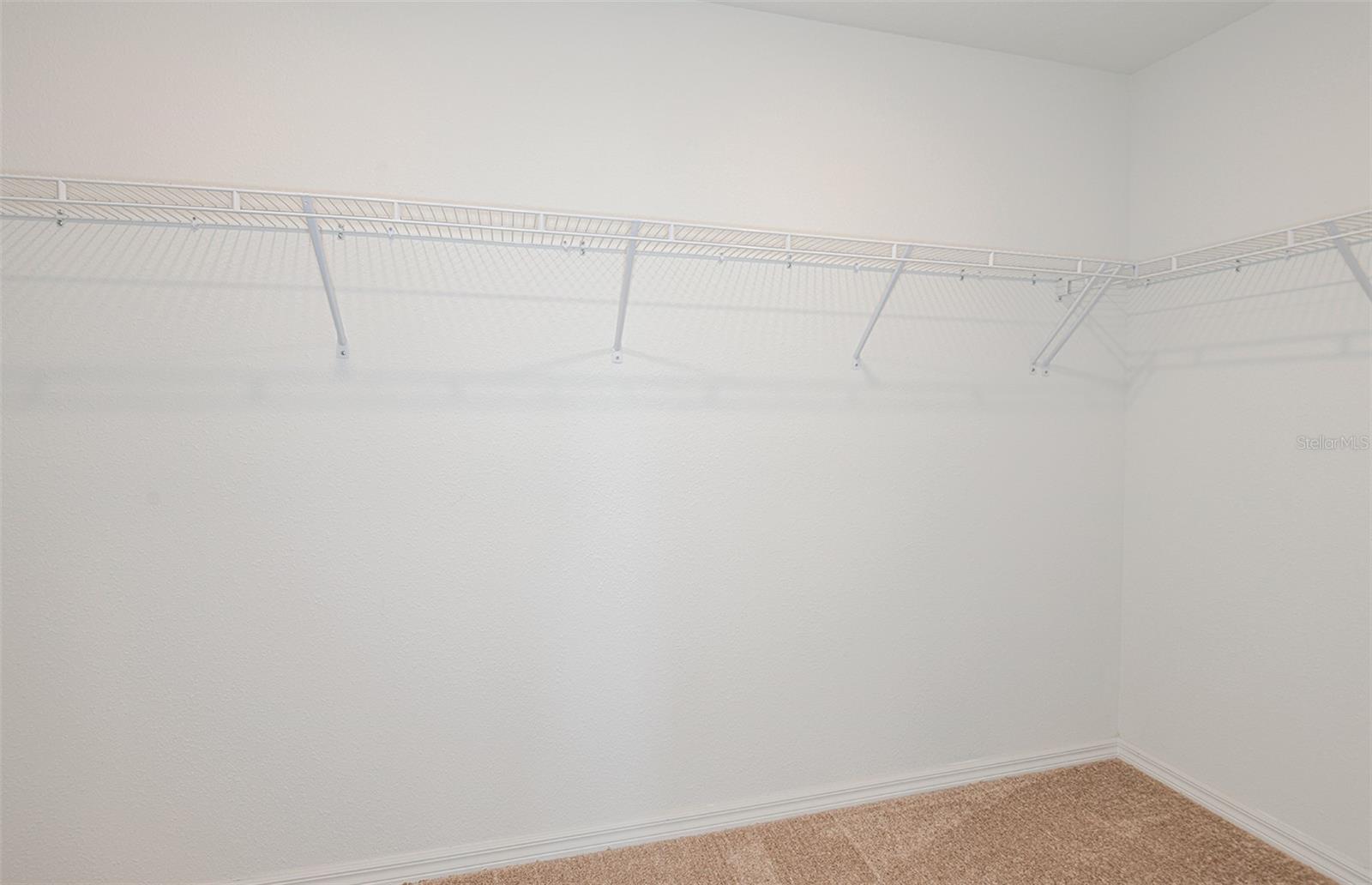 9911 Trellis Vine Way Property Photo 12