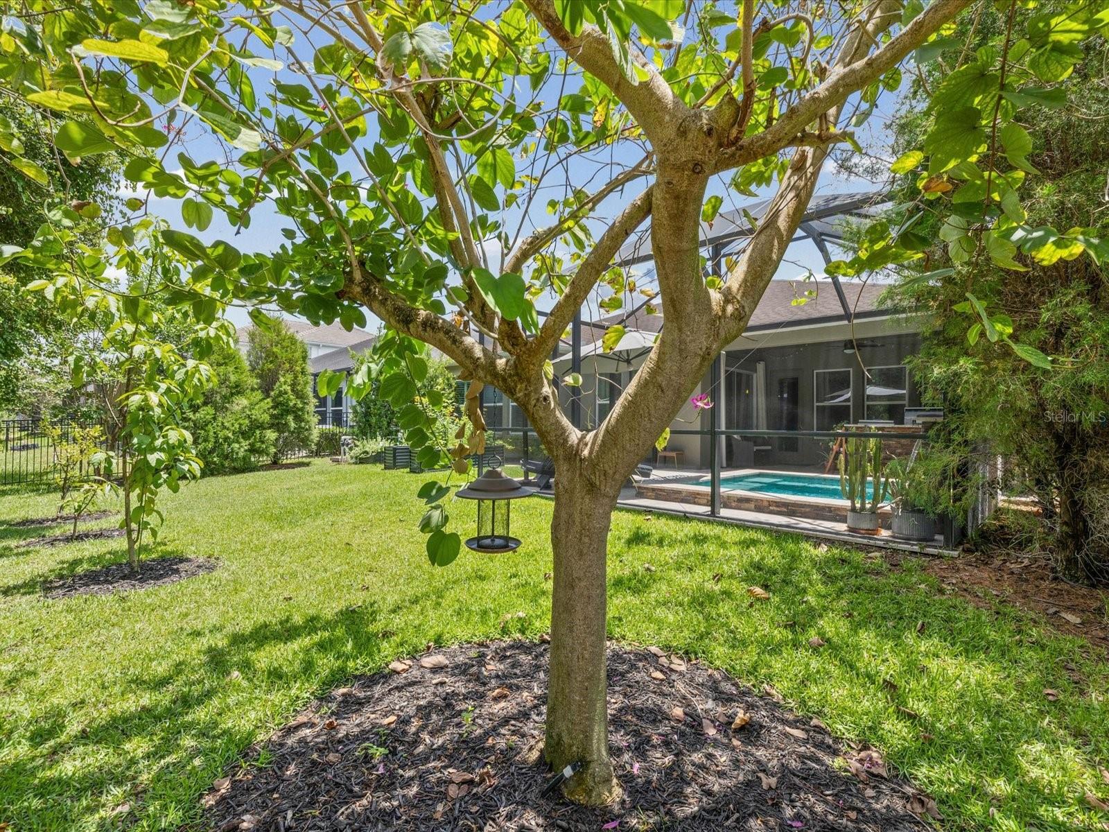 3719 Wicket Field Rd Property Photo 46