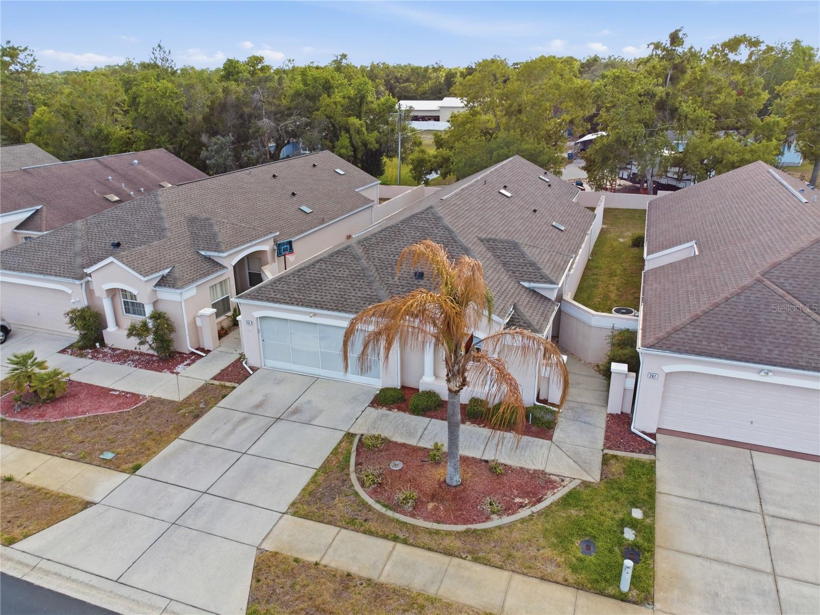 295 Royal Palm Way Property Photo 41