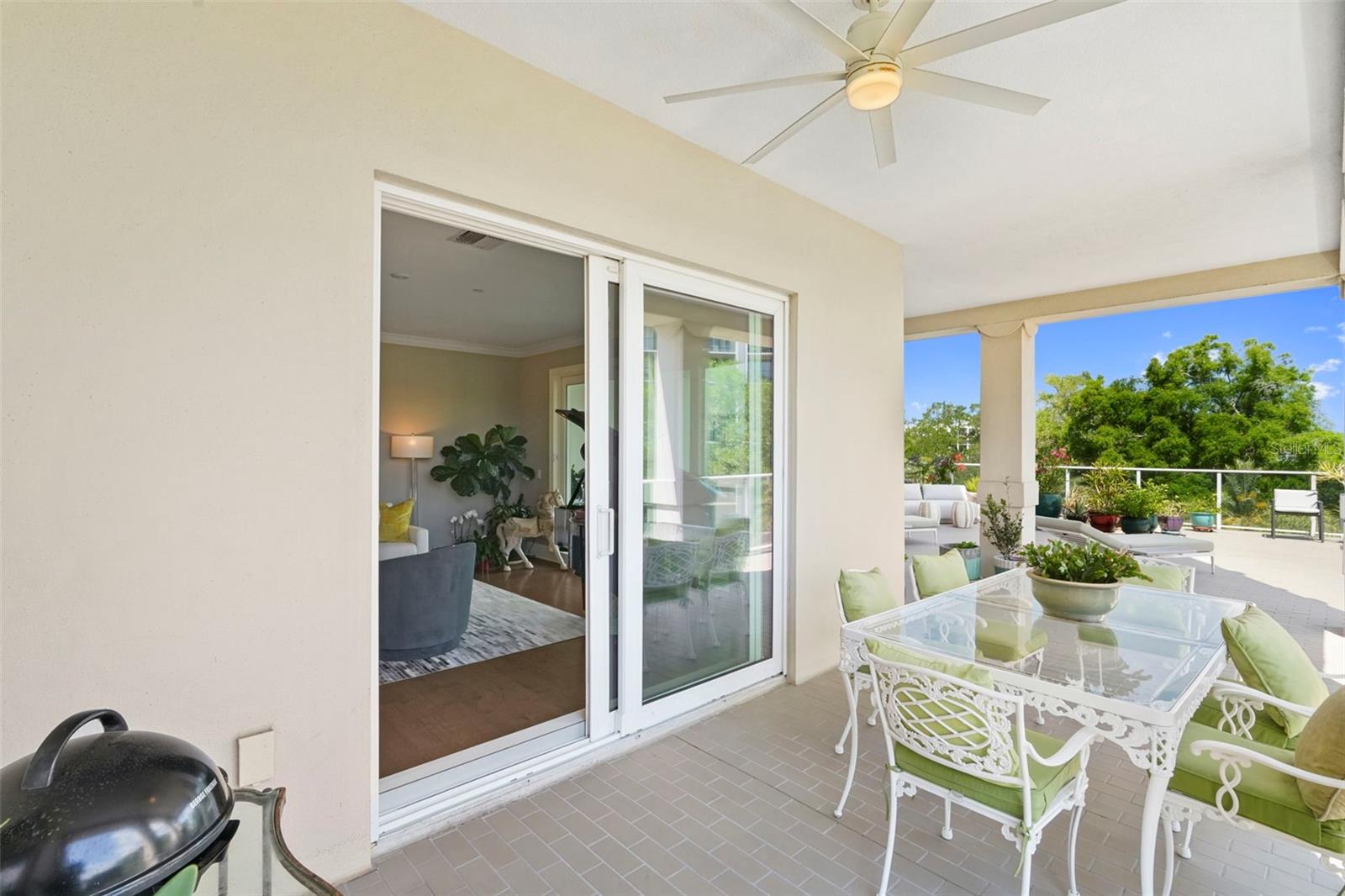 8 Palm Ter #201 Property Photo 36