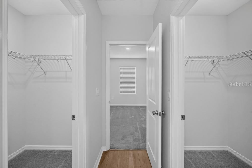 13747 Squall Ln Property Photo 18