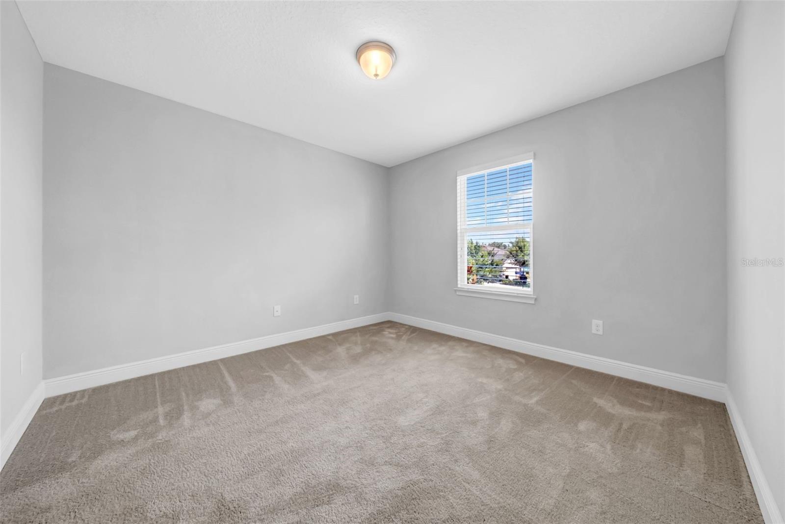 11728 Cambium Crown Dr Property Photo 16
