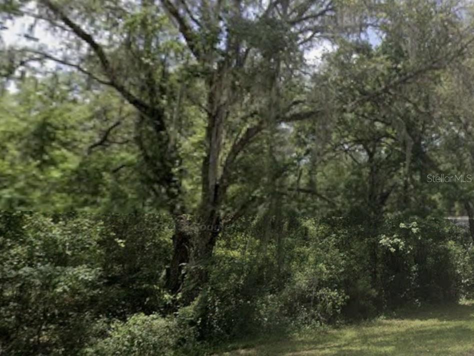 Lake Lindsey Rd Property Photo 2