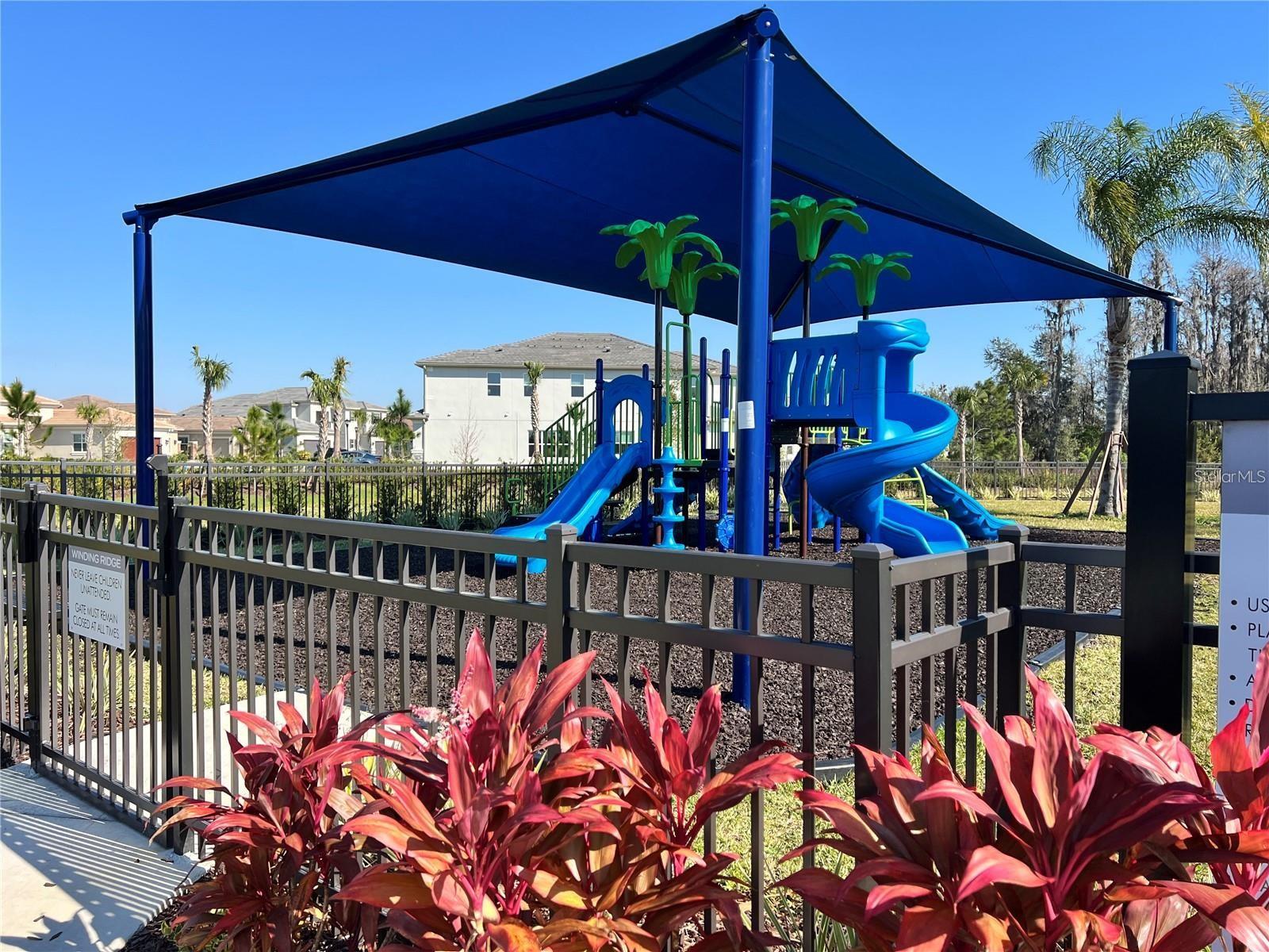 3281 Great Banyan Way Property Photo 45