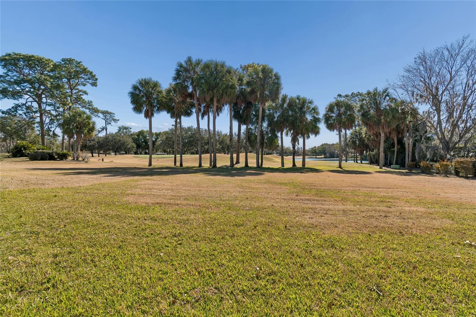 29244 Whipporwill Ln Property Photo 4
