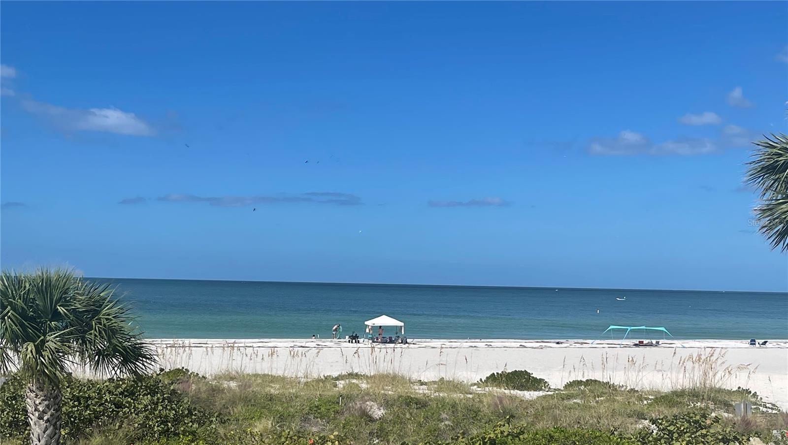 1390 Gulf Blvd #ph-3 Property Photo 70