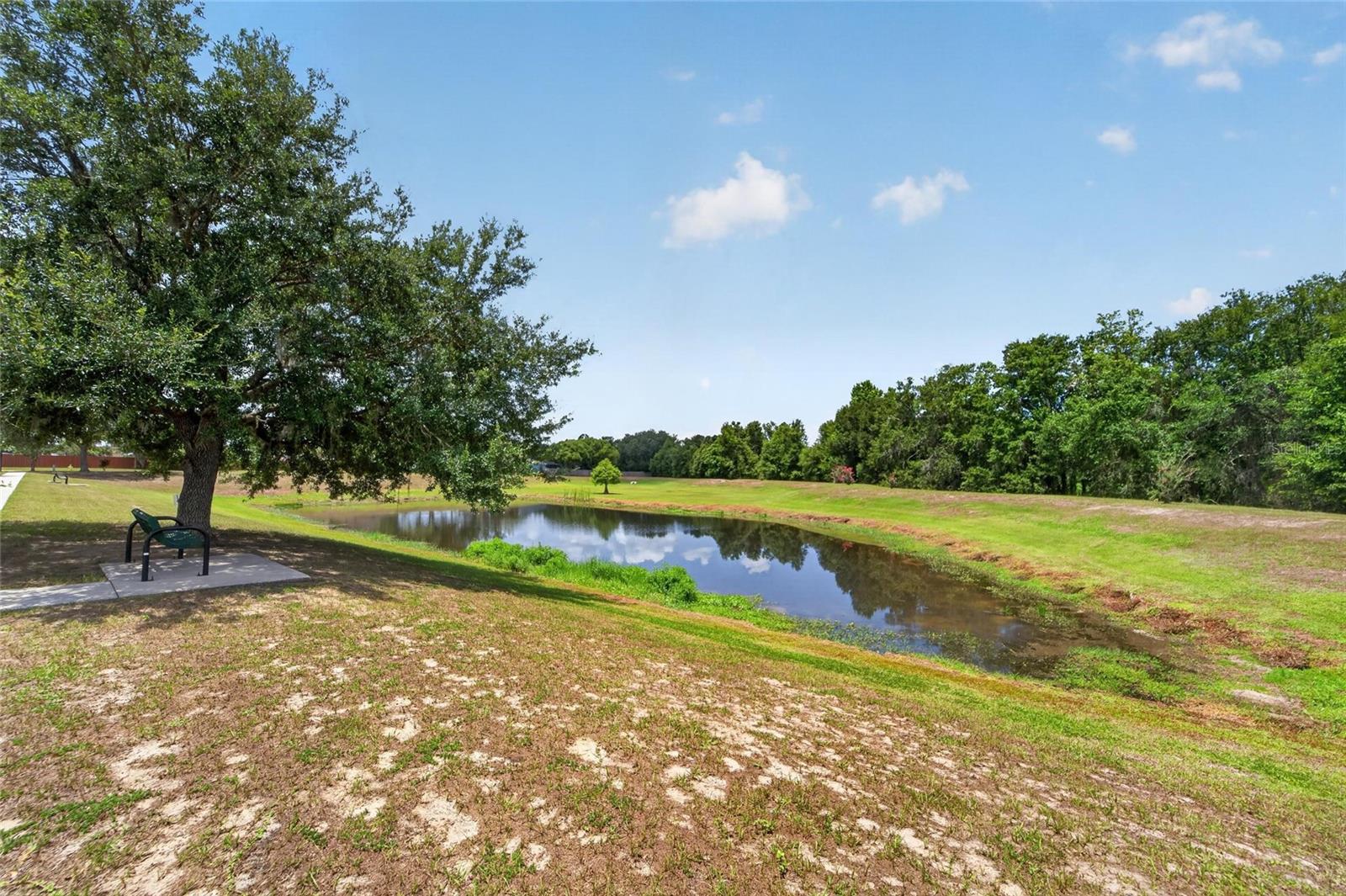 12124 Colonial Estates Ln Property Photo 25