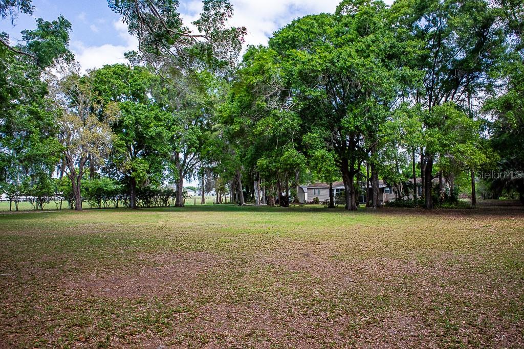 13815 Plainview Rd Property Photo 25