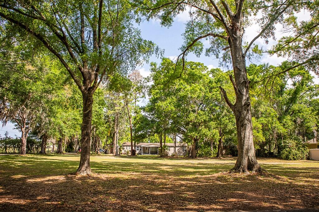 13815 Plainview Rd Property Photo 33