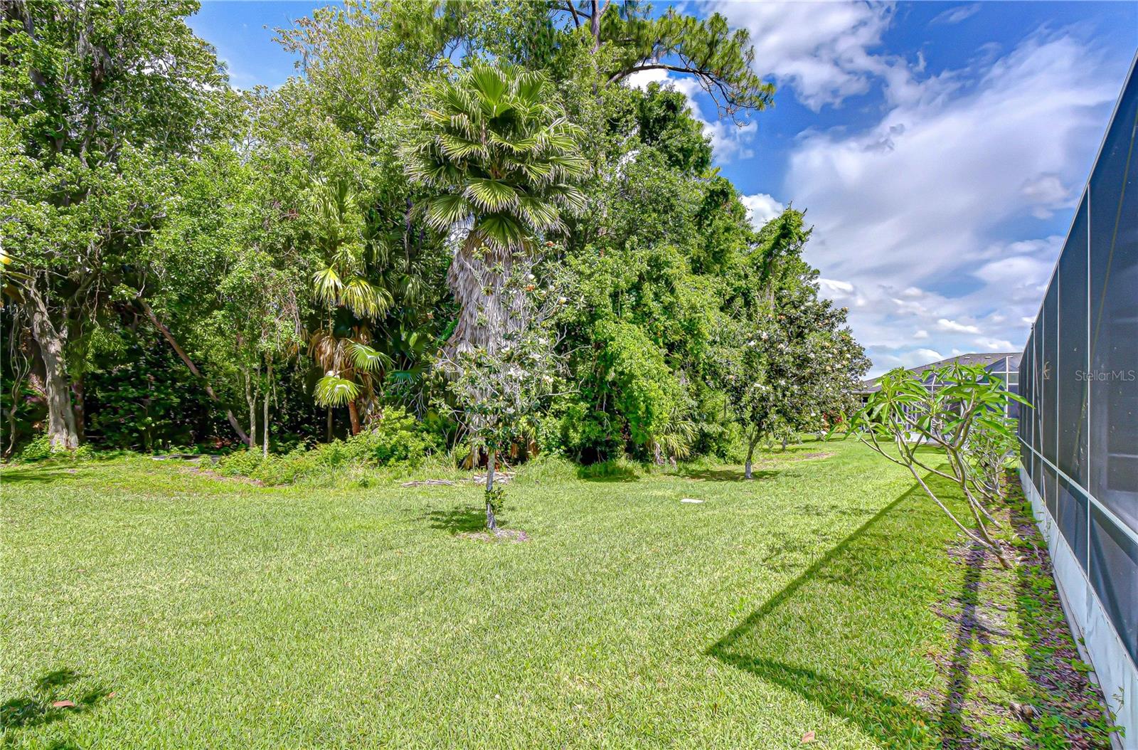 9815 Gingerwood Dr Property Photo 43