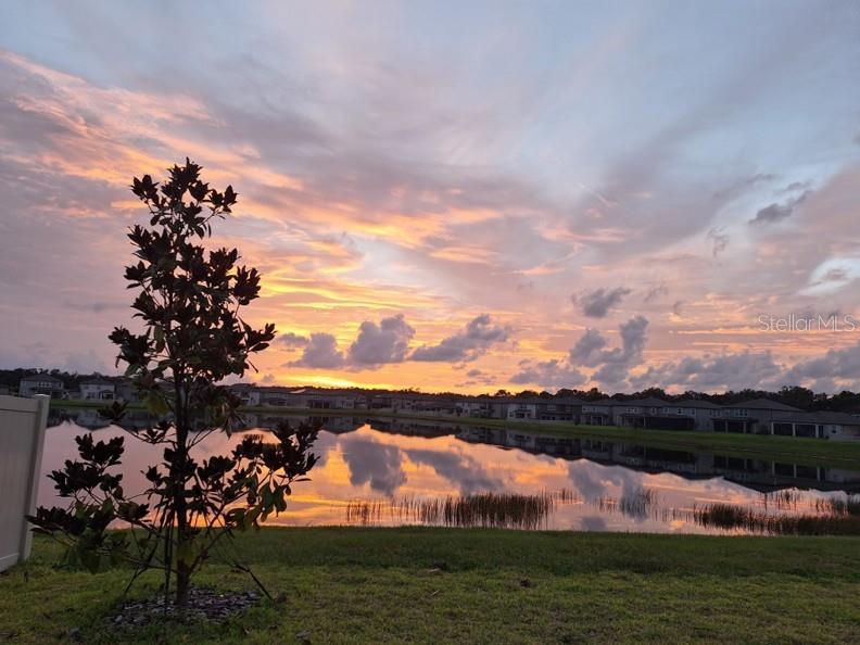 3091 Marine Grass Dr Property Photo 40