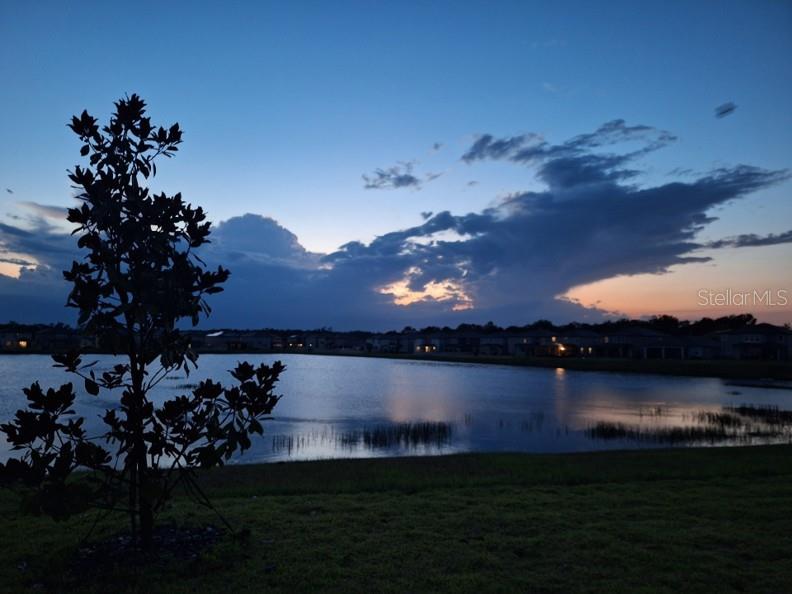 3091 Marine Grass Dr Property Photo 41