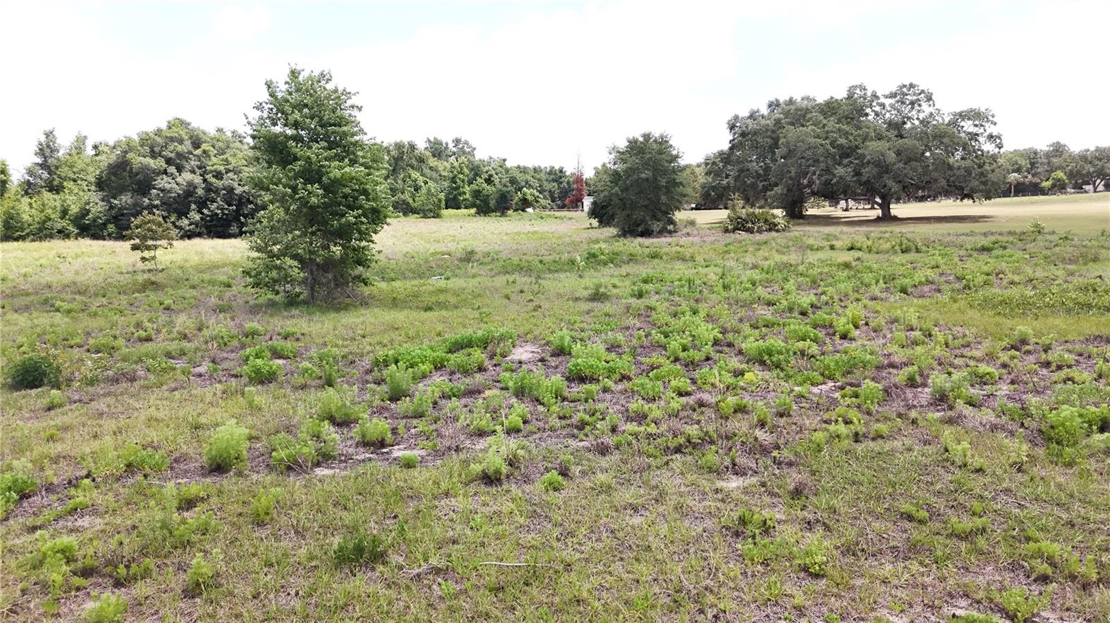 Sonoma Ridge Rd Property Photo 8