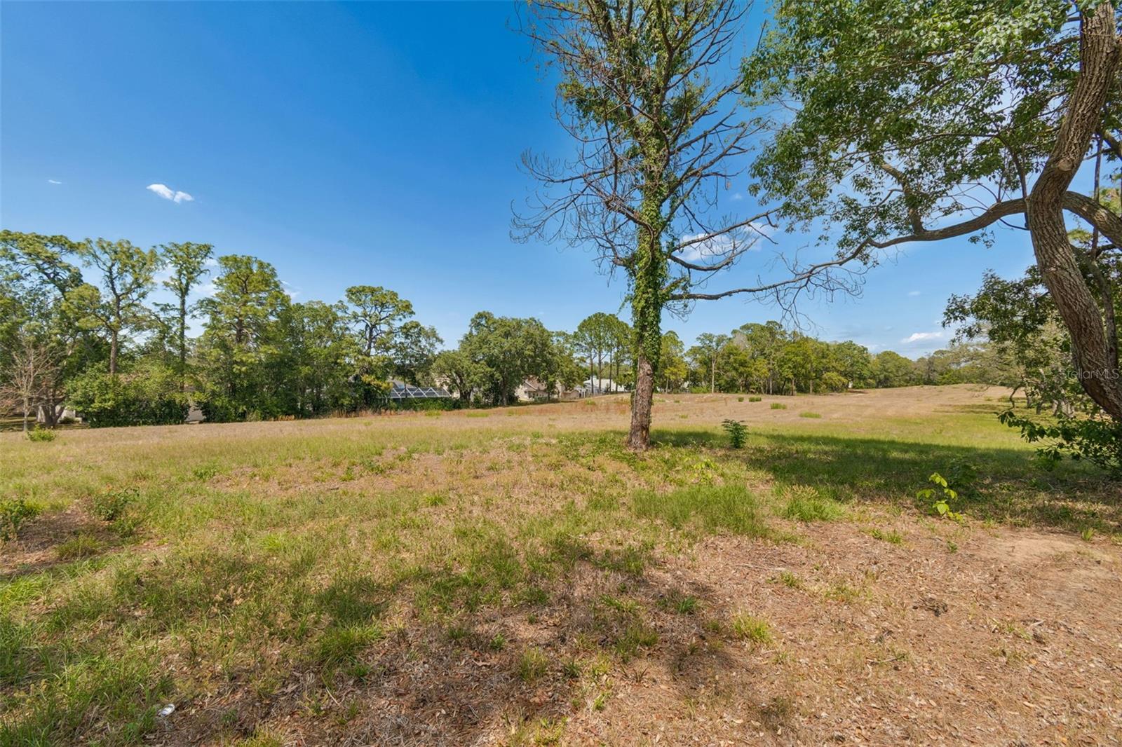 10491 Casa Grande Cir Property Photo 55