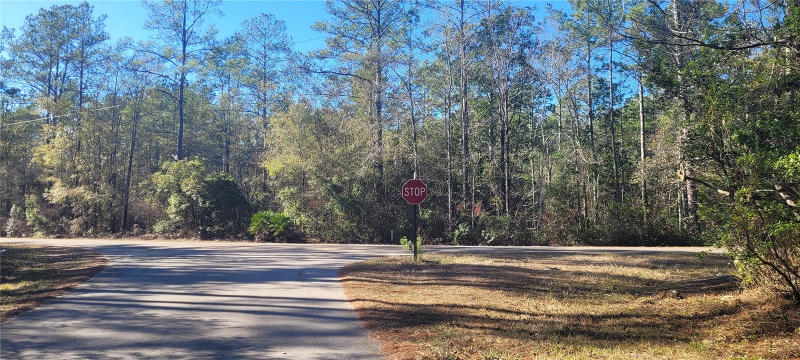 Cherokee Dr Property Photo 11