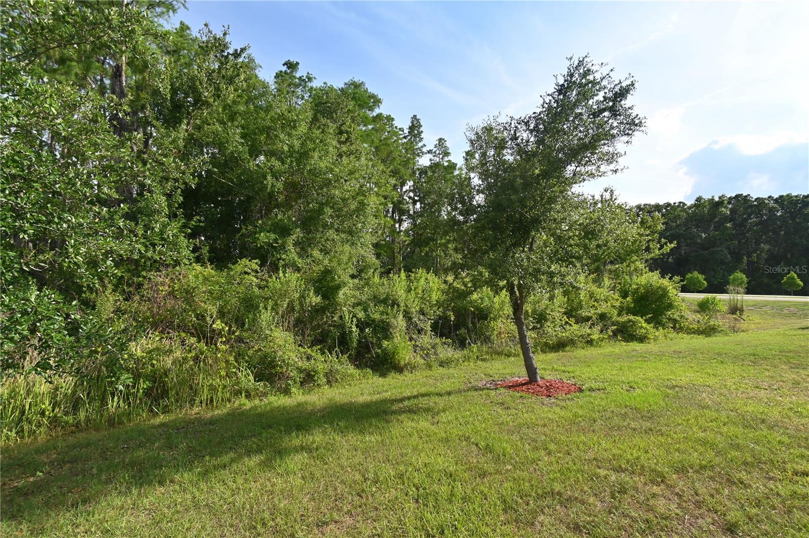 1052 Manzanar Pl Property Photo 35