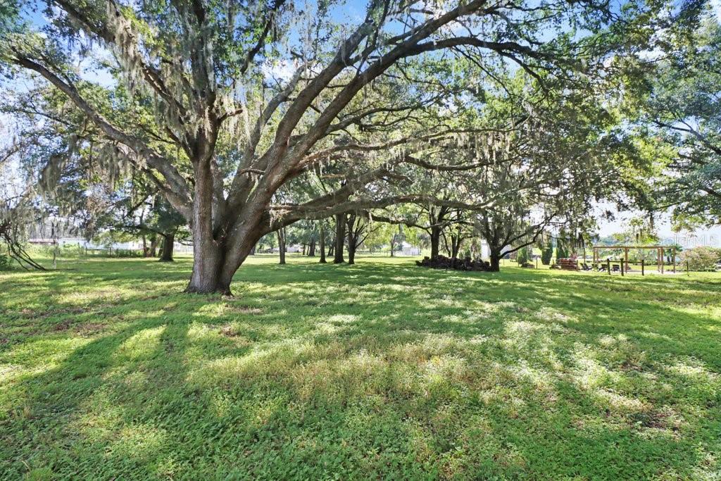 11634 Davis Pool Rd Property Photo 43
