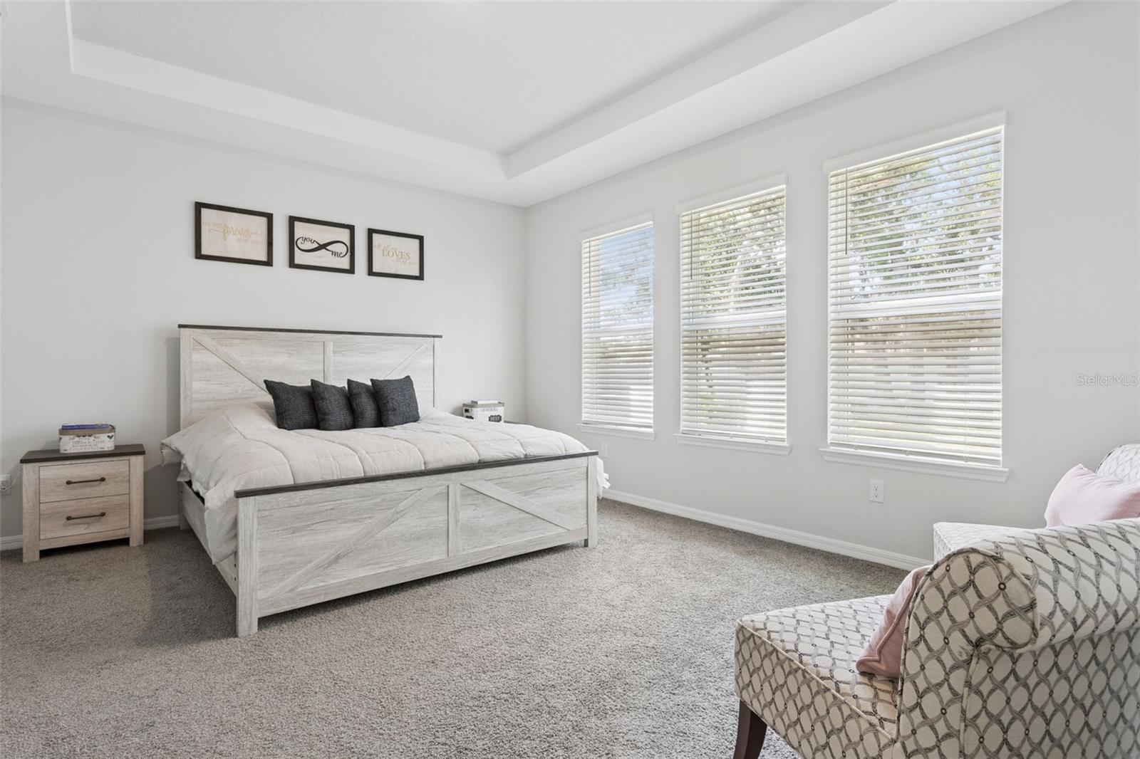 10561 Tranquil Meadow Loop Property Photo 15