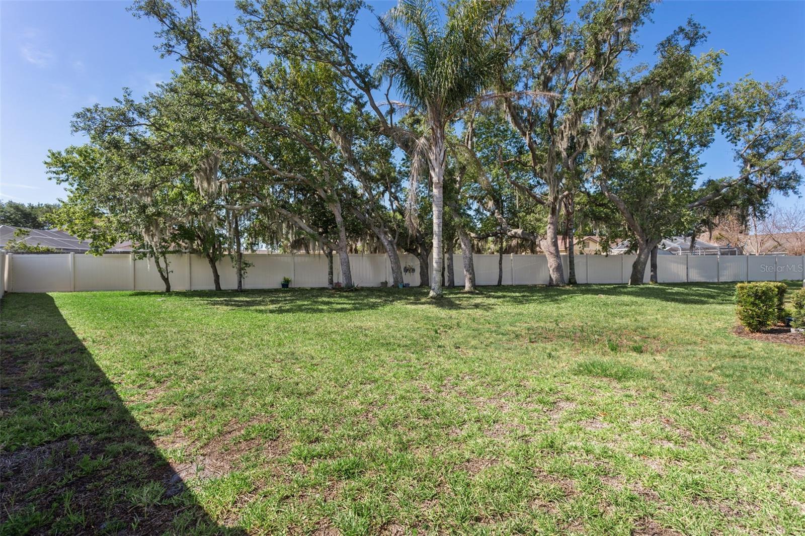 10561 Tranquil Meadow Loop Property Photo 23