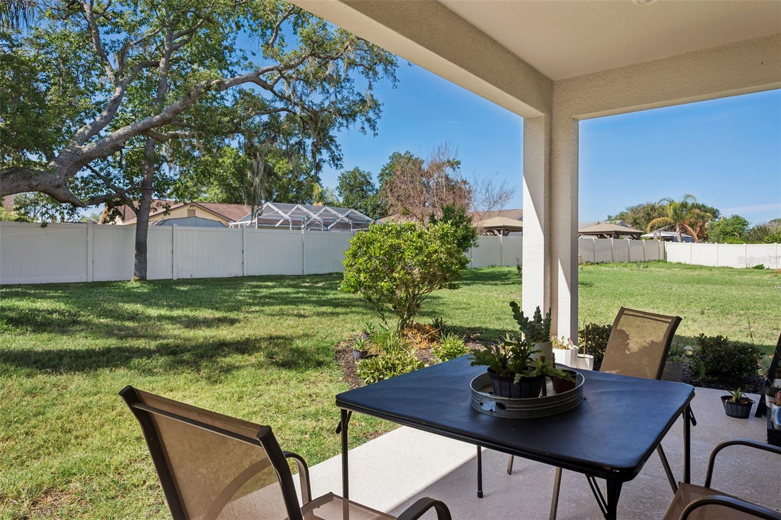 10561 Tranquil Meadow Loop Property Photo 25