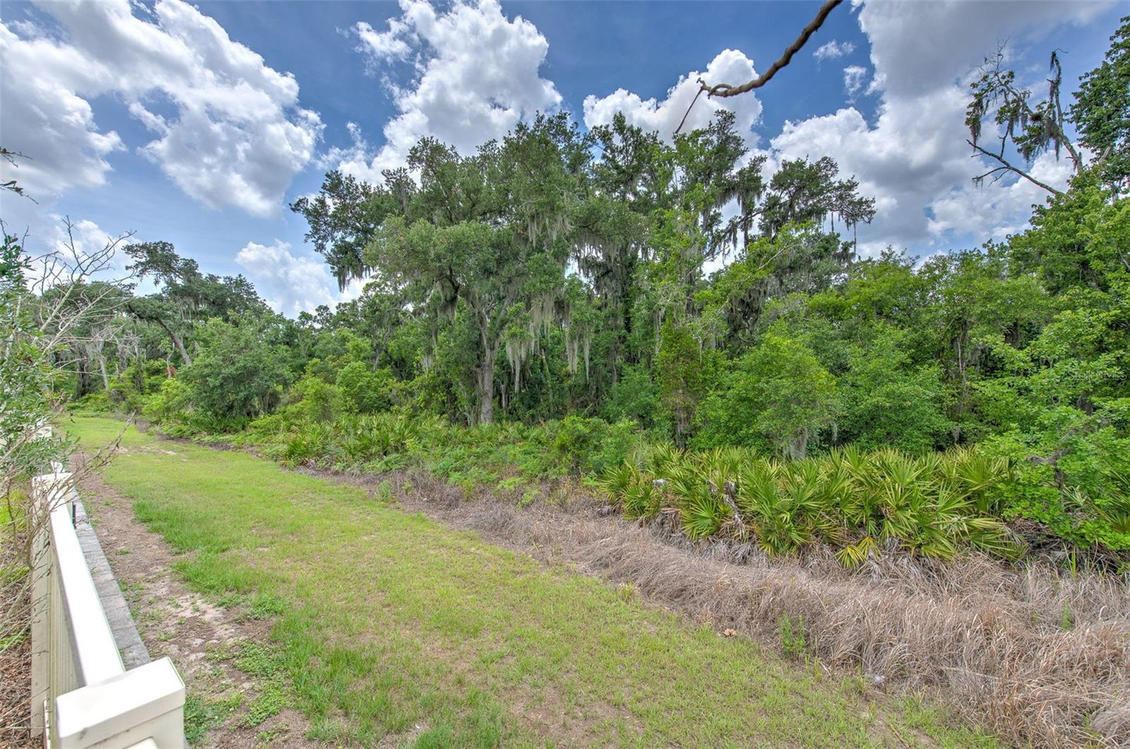 17334 White Mangrove Dr Property Photo 25