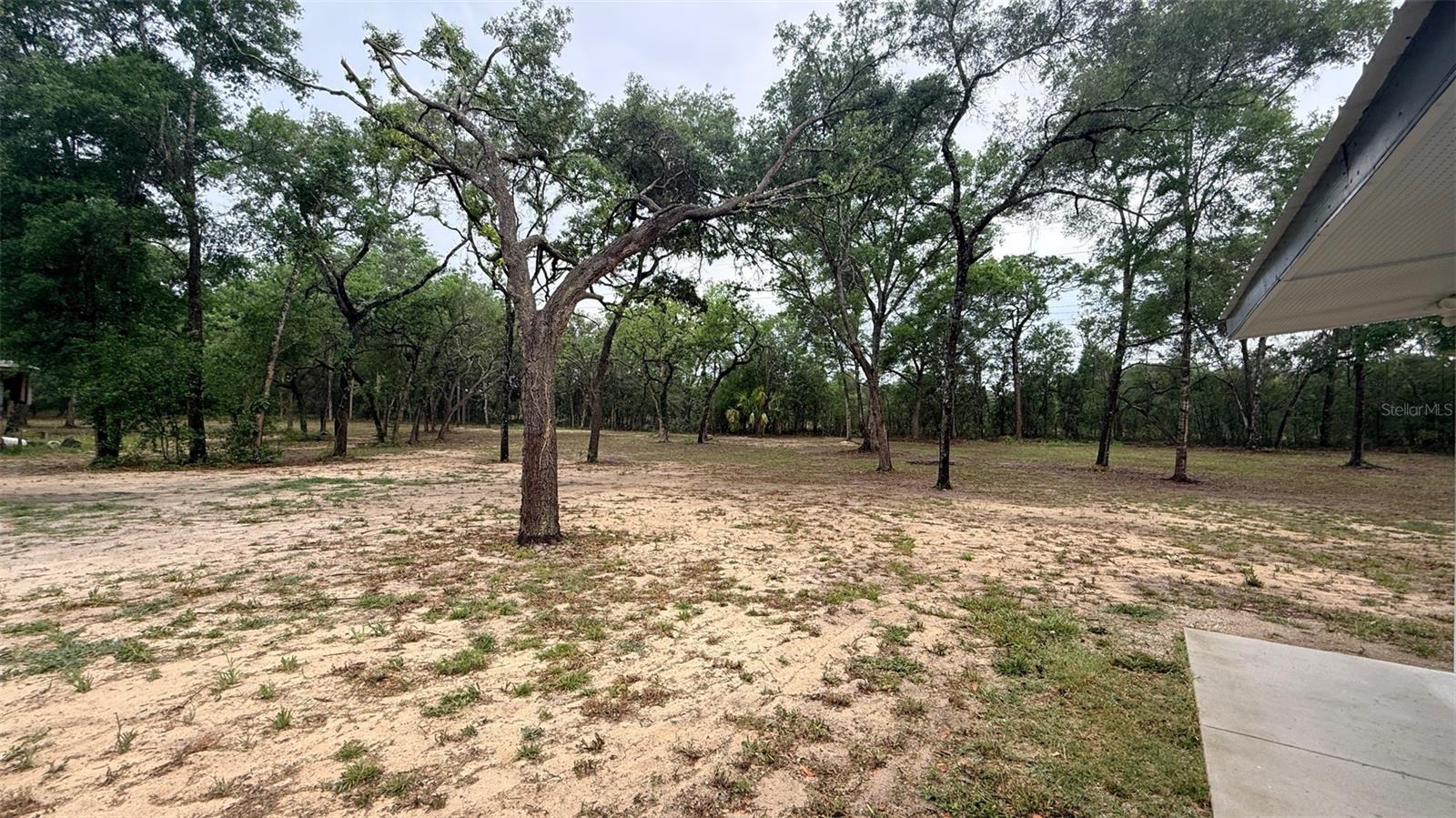 15535 Little Ranch Rd Property Photo 40