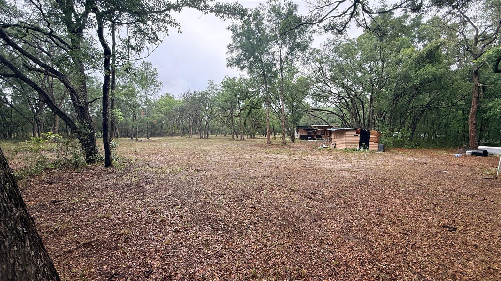 15535 Little Ranch Rd Property Photo 45