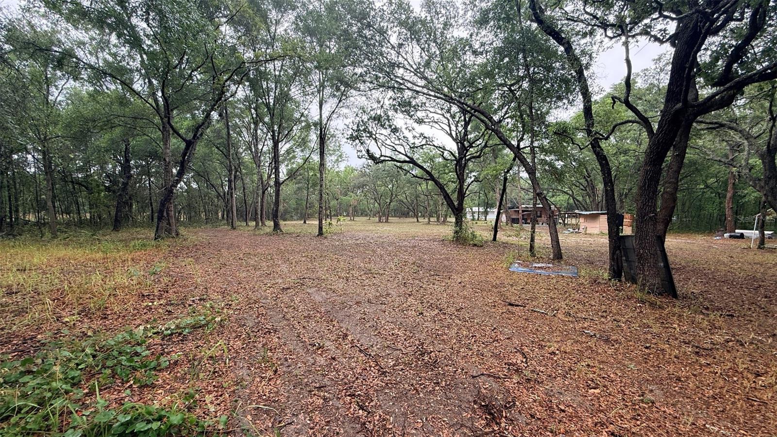 15535 Little Ranch Rd Property Photo 46