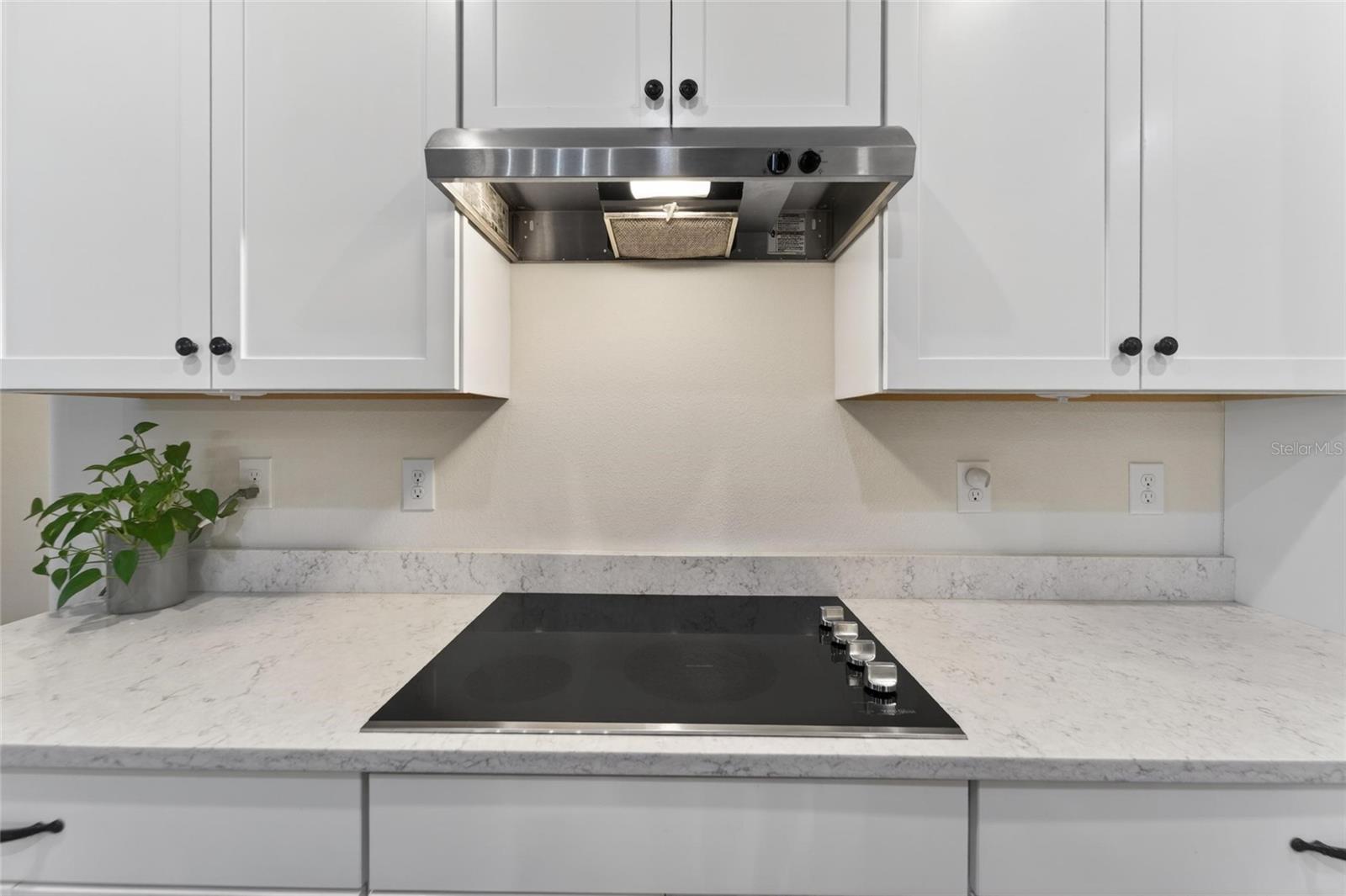 13017 Satin Lily Dr Property Photo 10