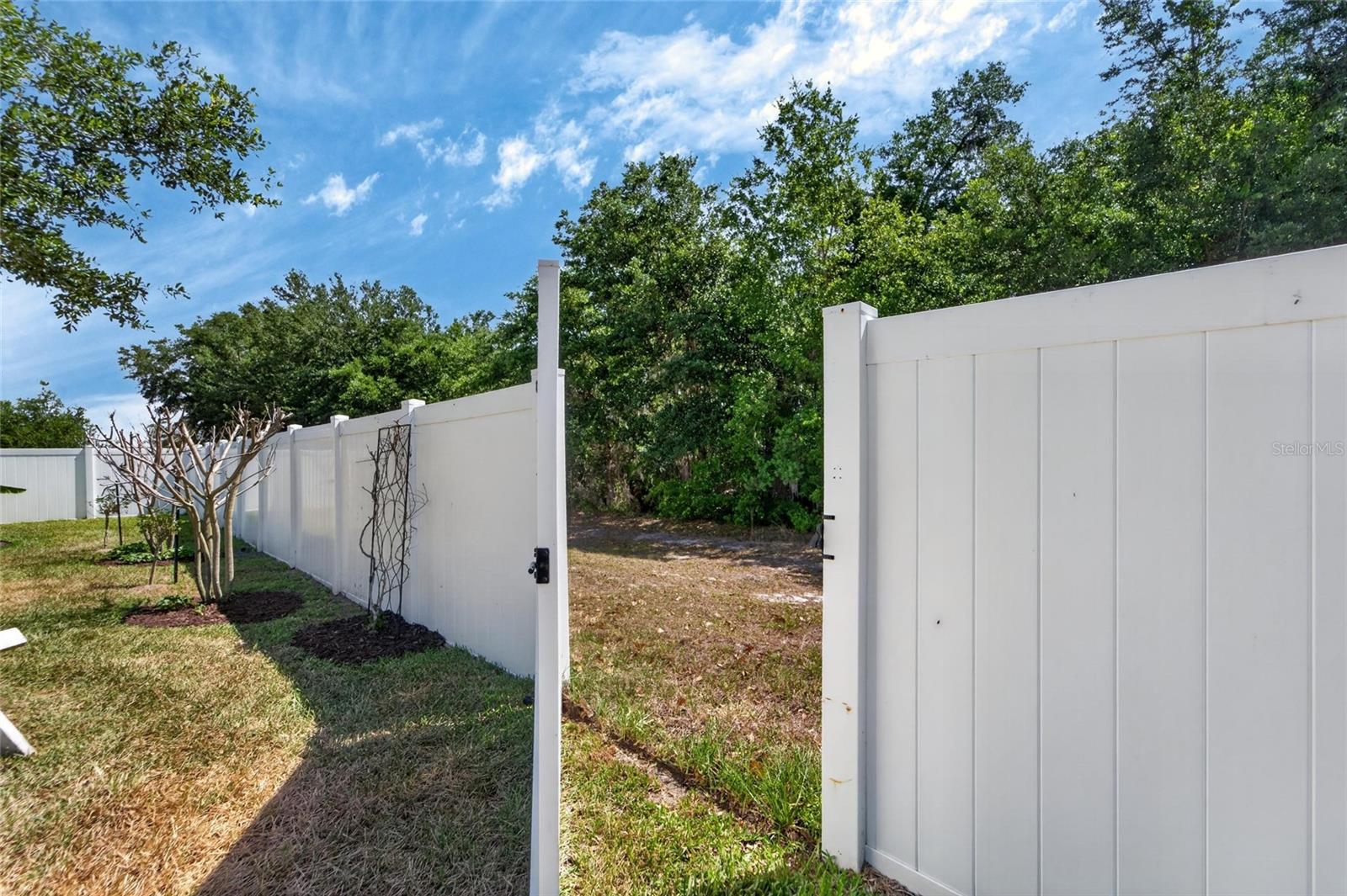 13017 Satin Lily Dr Property Photo 69