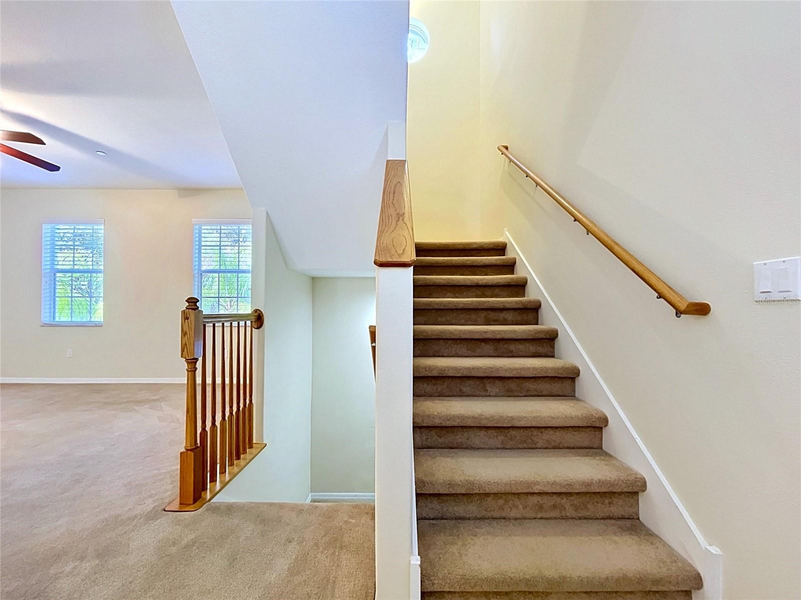 10144 Arbor Run Dr #31 Property Photo 19