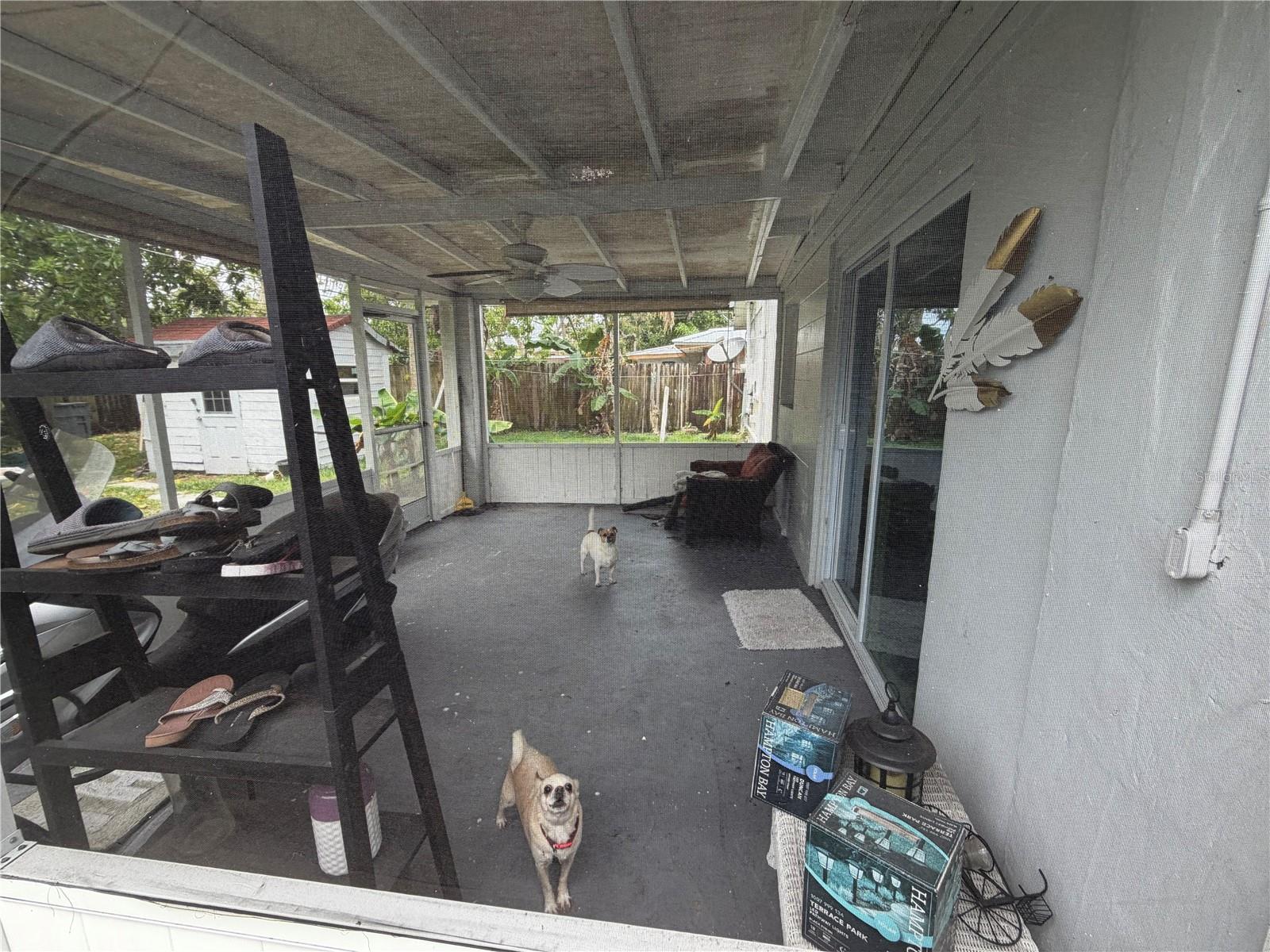 4799 Lehto Ln Property Photo 27