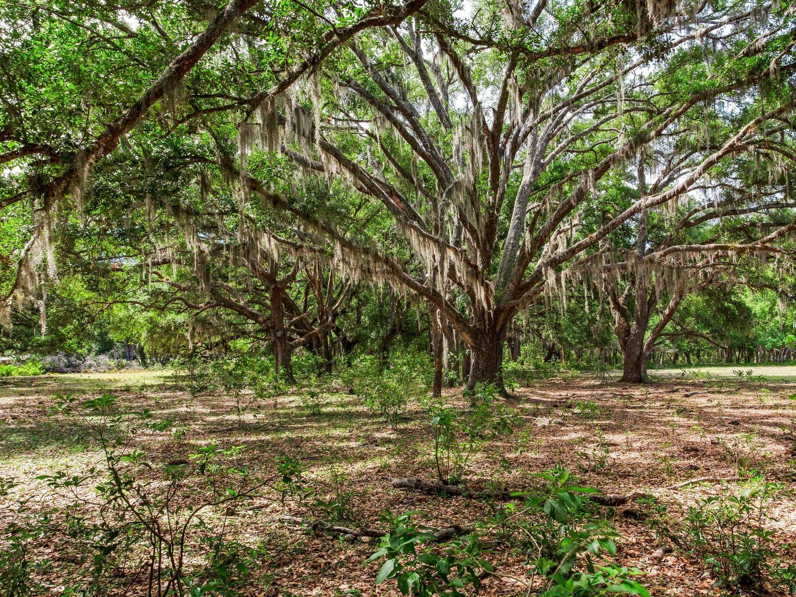 TB8505252 Property Photo 1