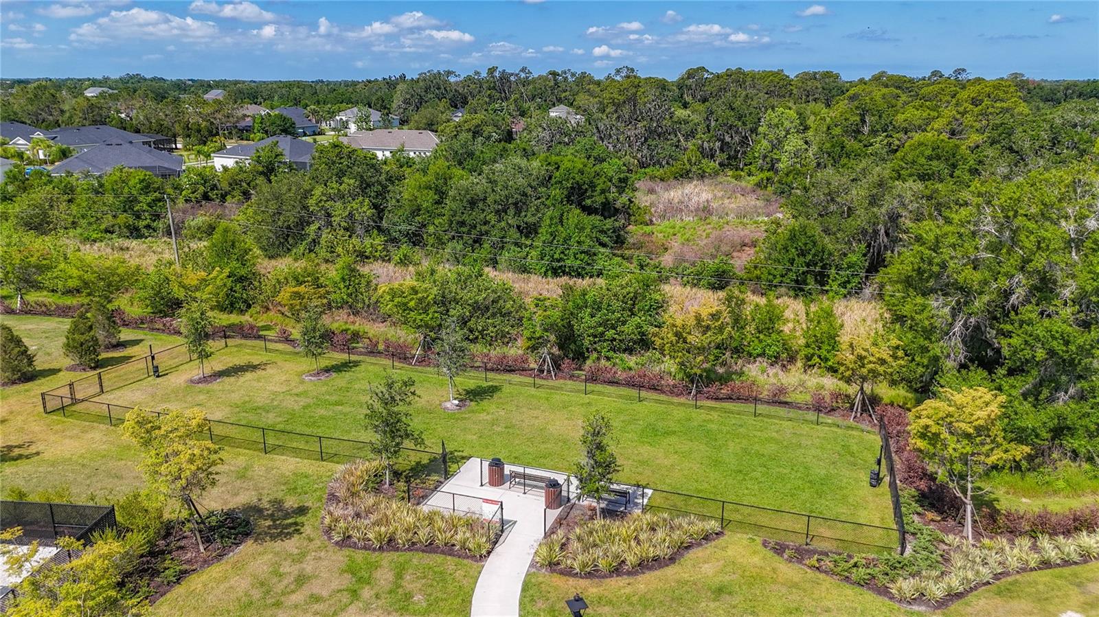 13019 Bluff Oak Way Property Photo 30