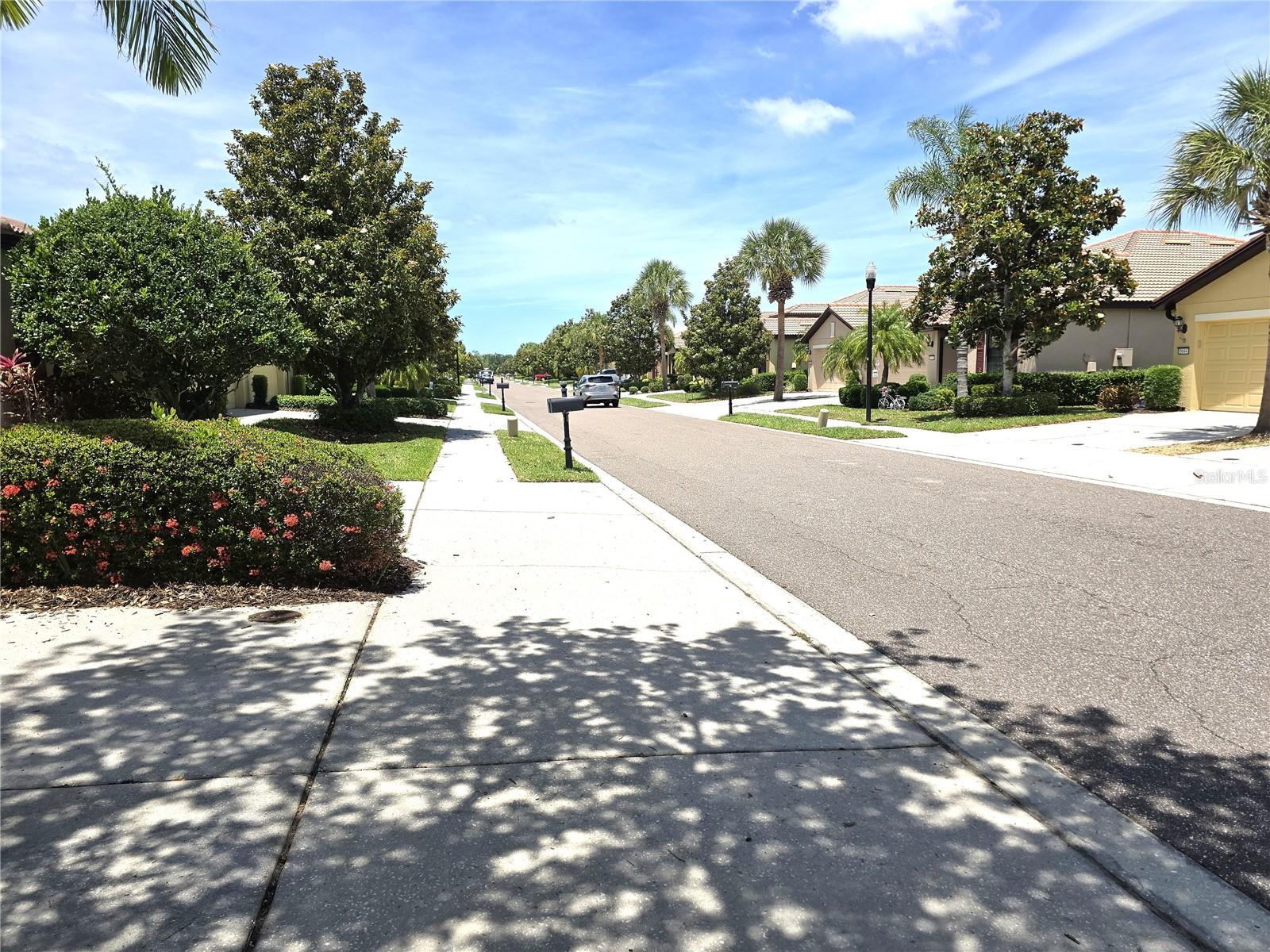 5646 Sunset Falls Dr Property Photo 21