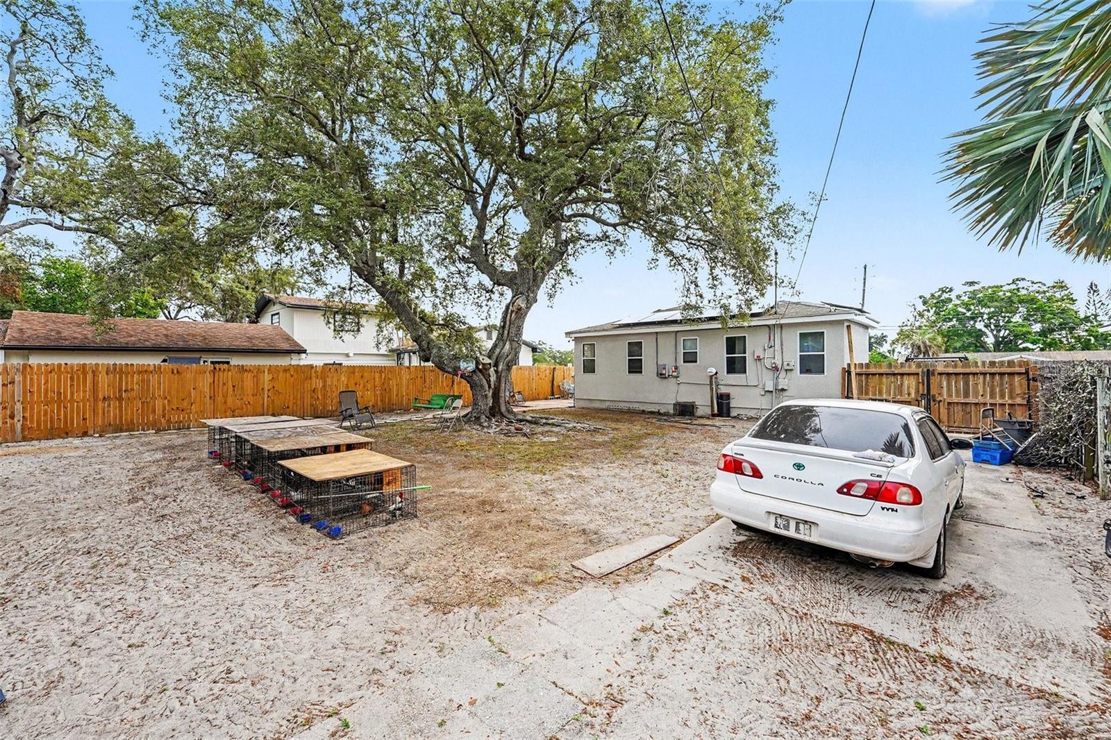 1464 Druid Rd E Property Photo 24