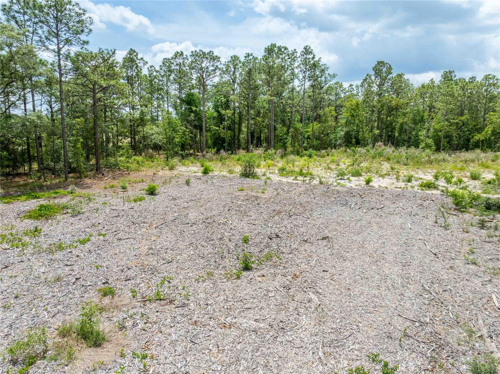 15022 Gar St Property Photo 18