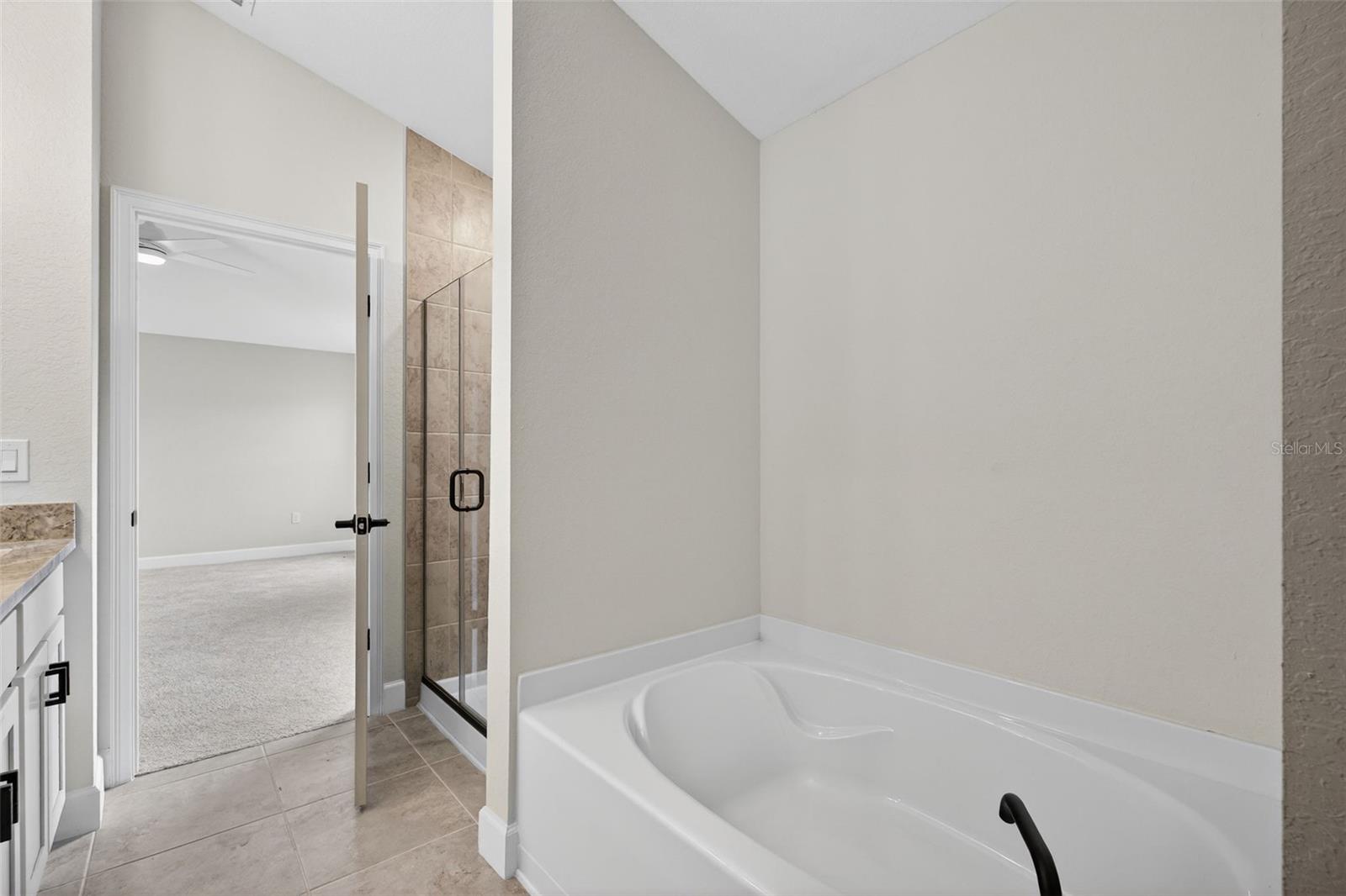 683 Tanaro Ln Property Photo 11