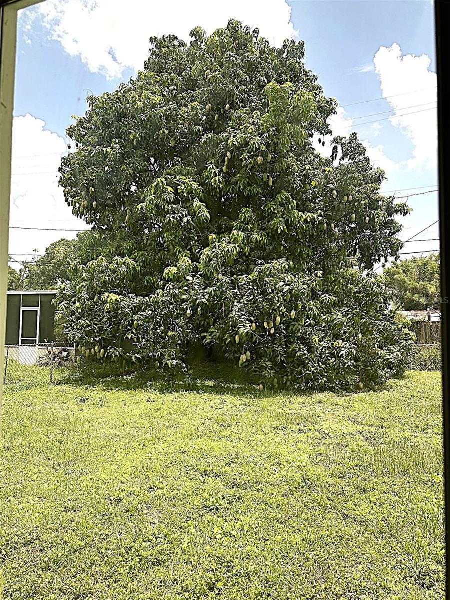 803 Haskell Ave Property Photo 18