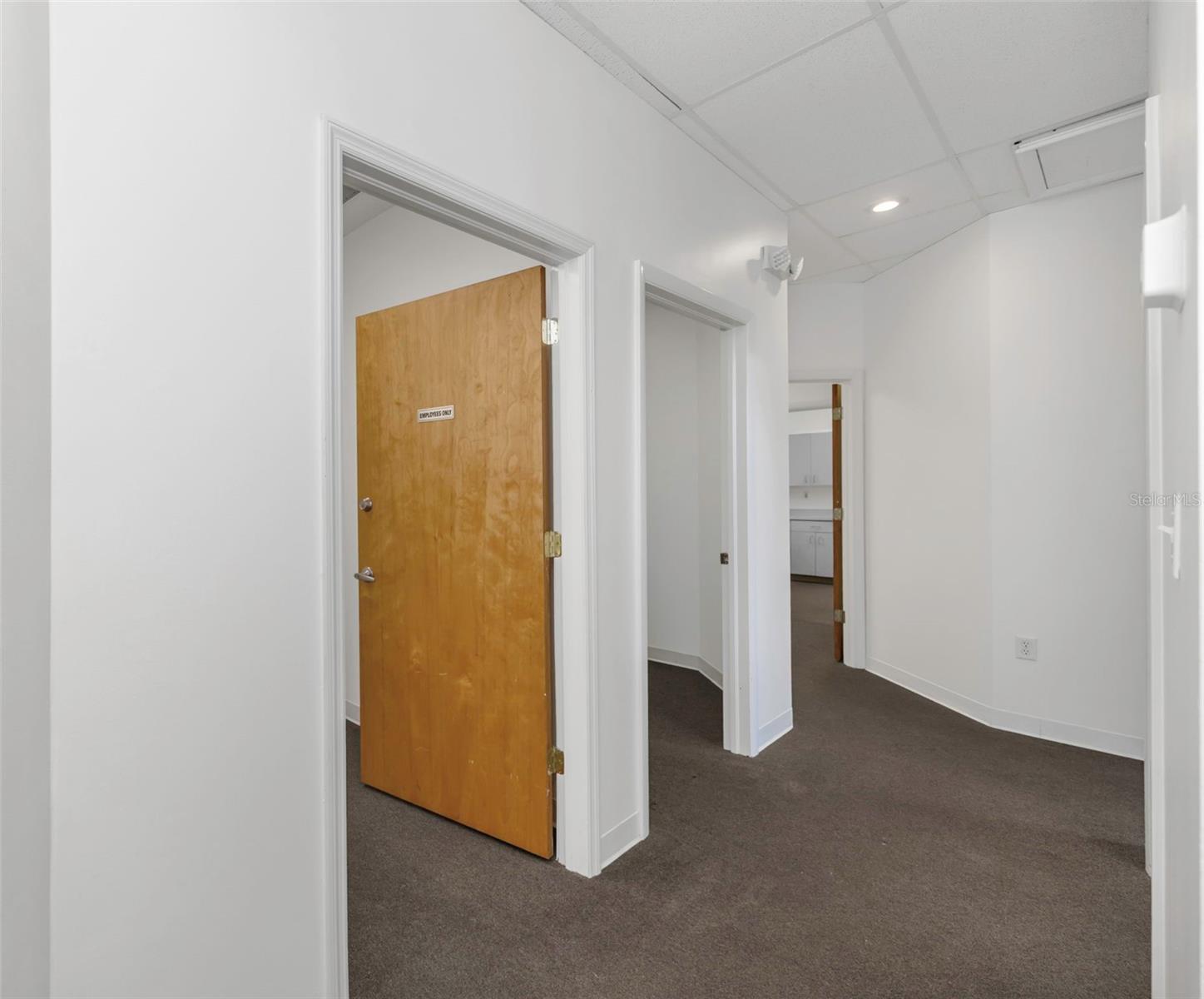 14517 Bruce B Downs Blvd #301 Property Photo 8