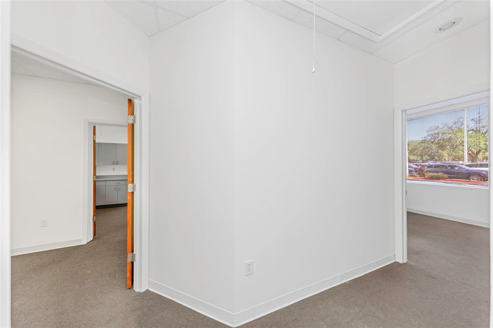 14517 Bruce B Downs Blvd #301 Property Photo 17