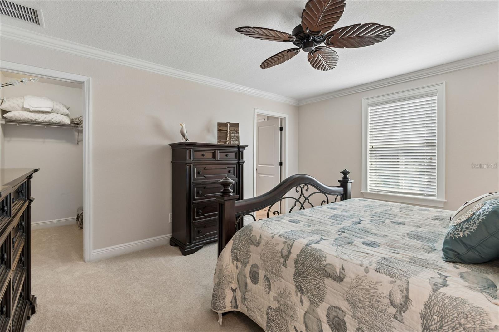 13218 Batten Ln Property Photo 36