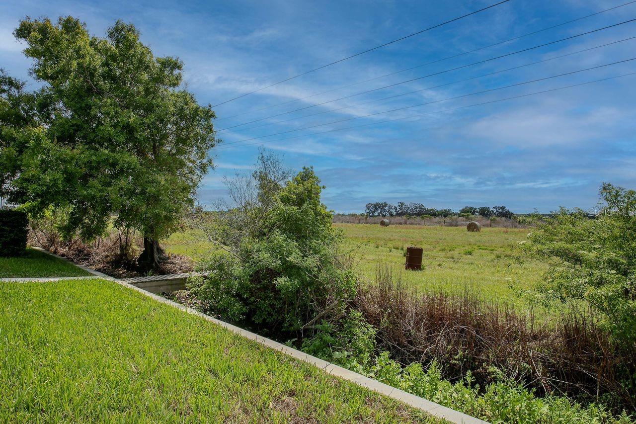 11701 Brighton Knoll Loop Property Photo 37