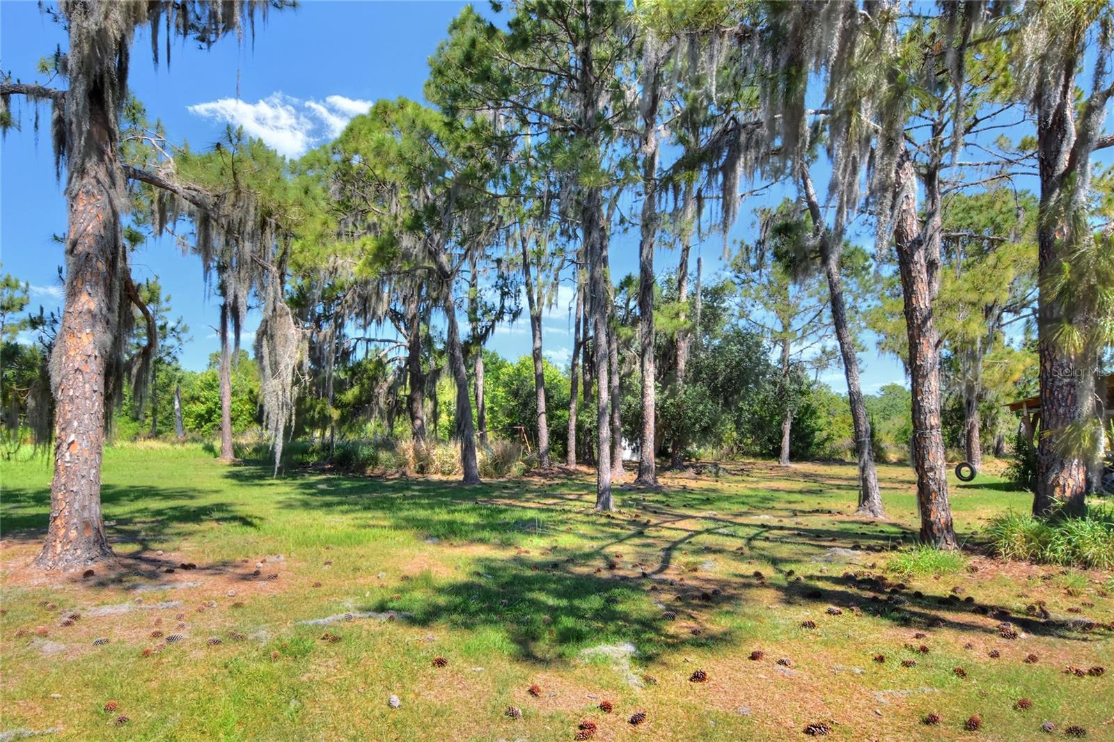 0 Lake Buffum Rd W Property Photo 6