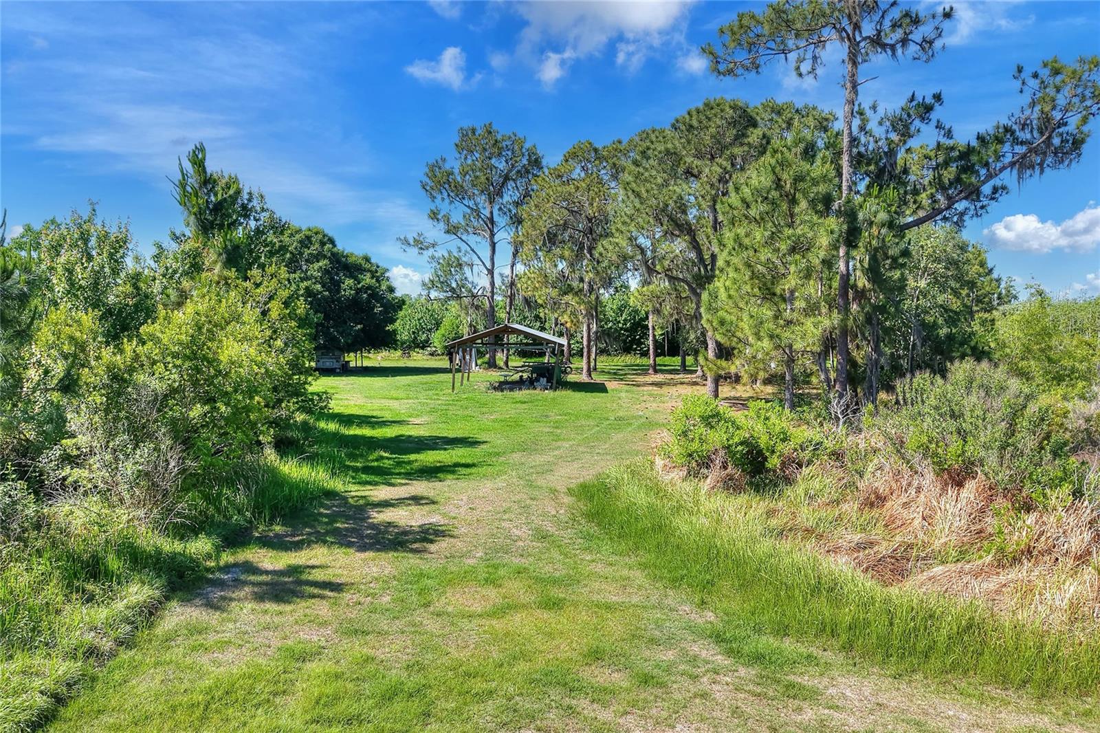 0 Lake Buffum Rd W Property Photo 7