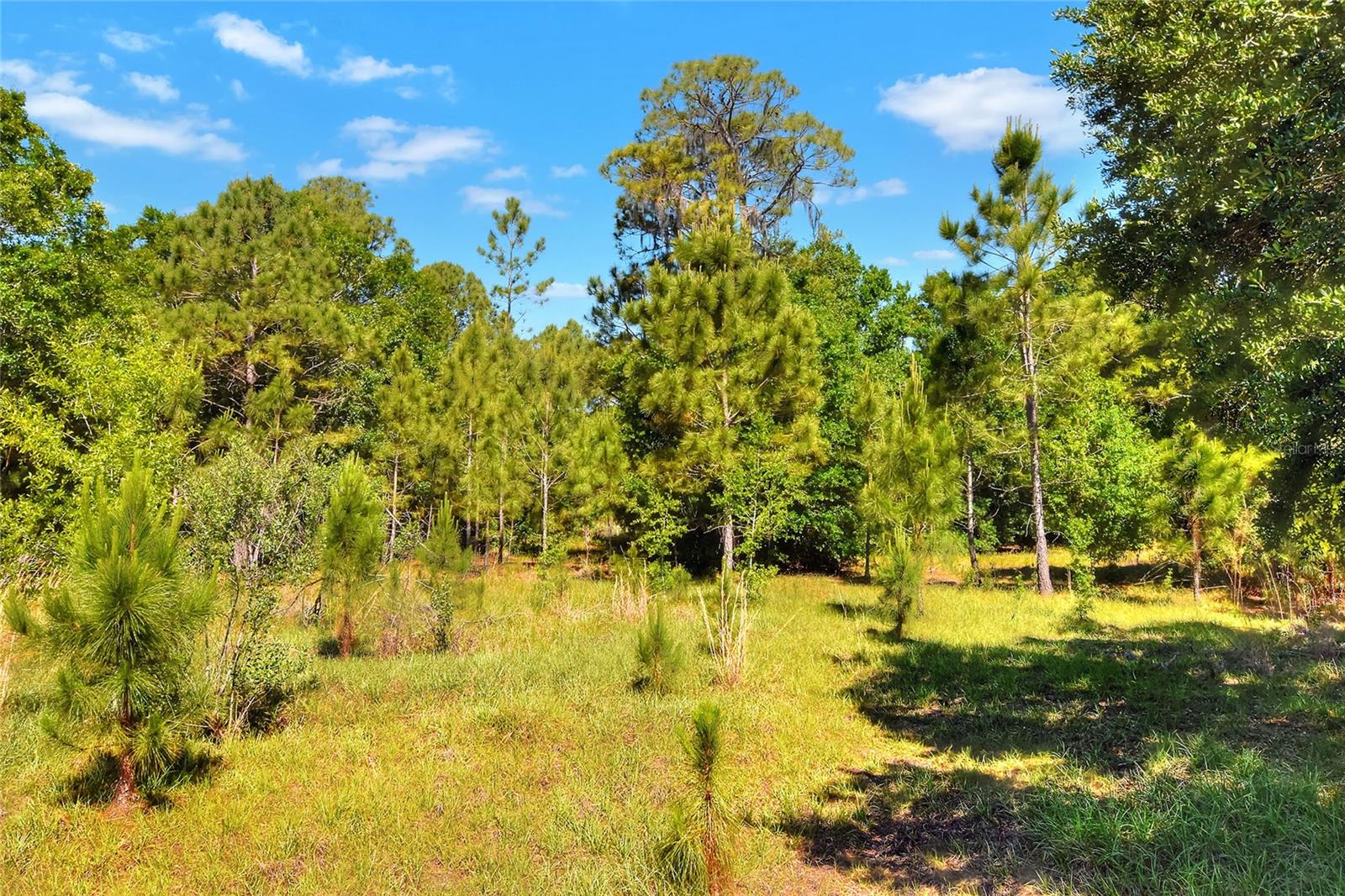 0 Lake Buffum Rd W Property Photo 8
