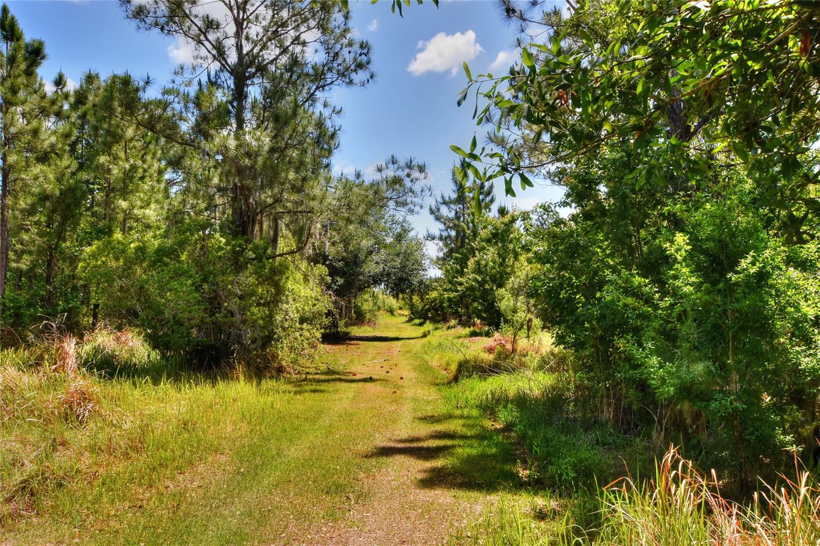 0 Lake Buffum Rd W Property Photo 10